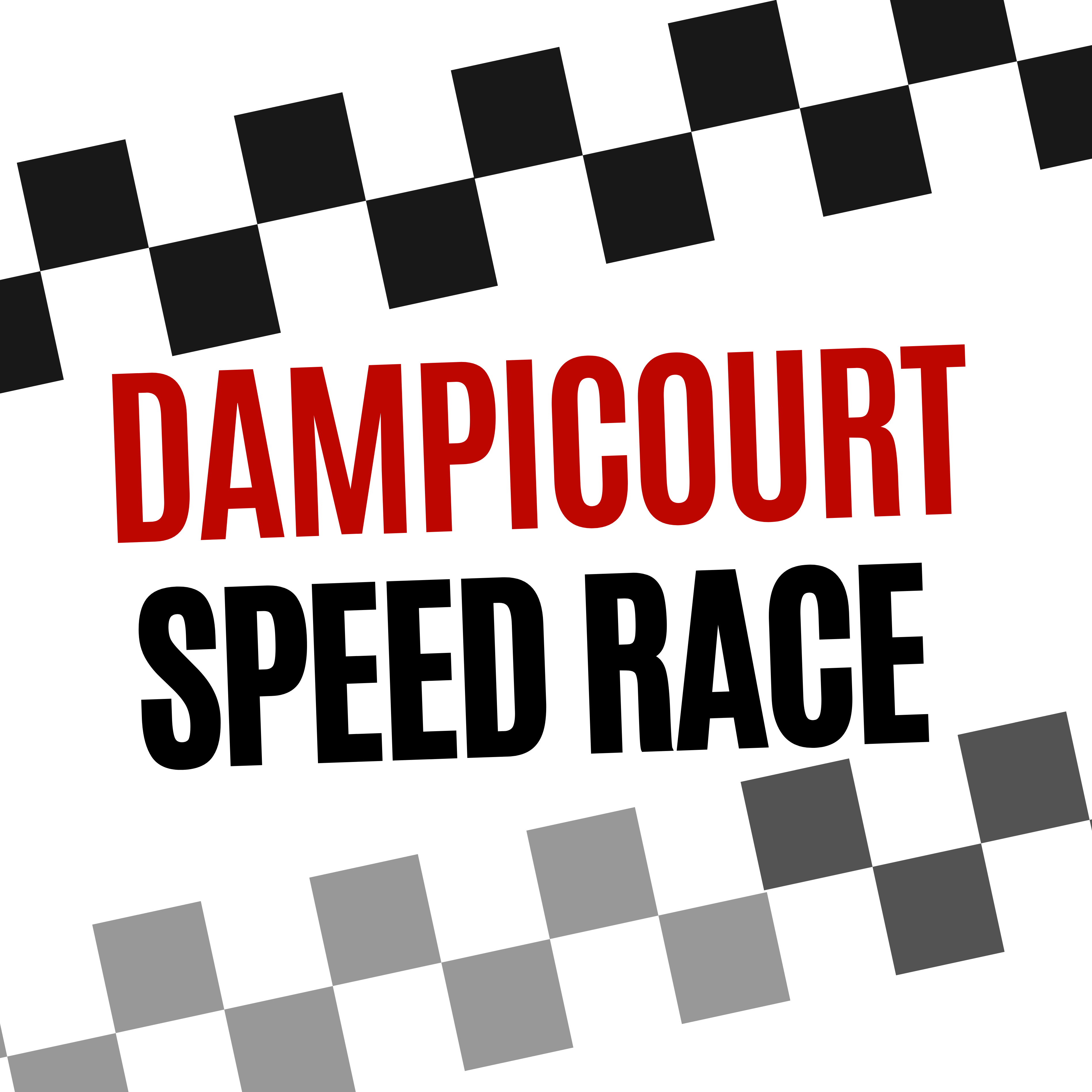 Logo DSR